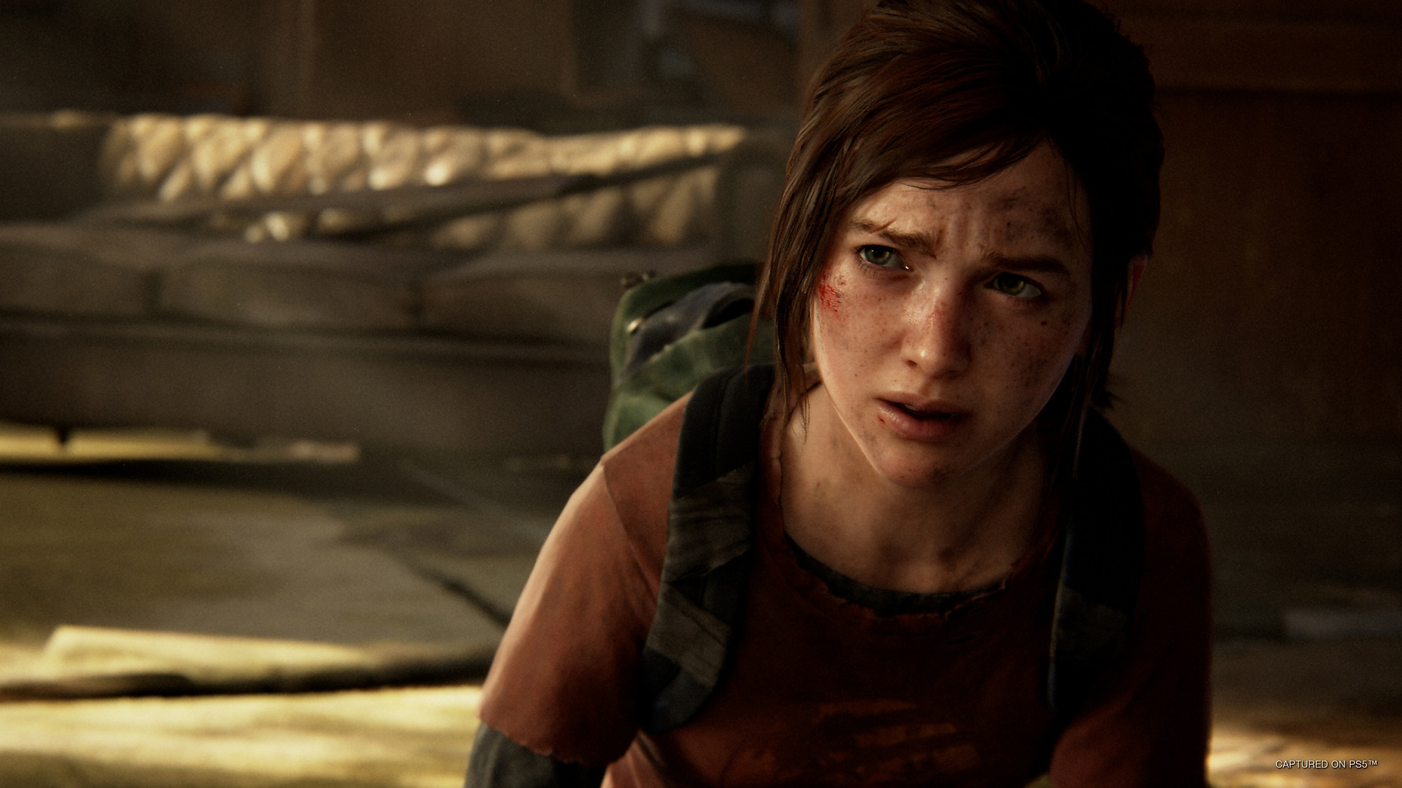Former Naughty Dog Dev Hints at "Congregation" of Immune for The Last of Us Part 3
