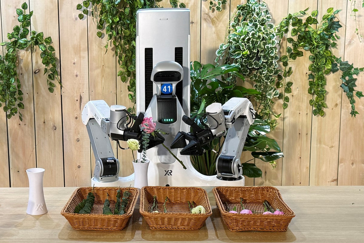 Robots chinos pueden correr y bailar, pero no lavar los platos