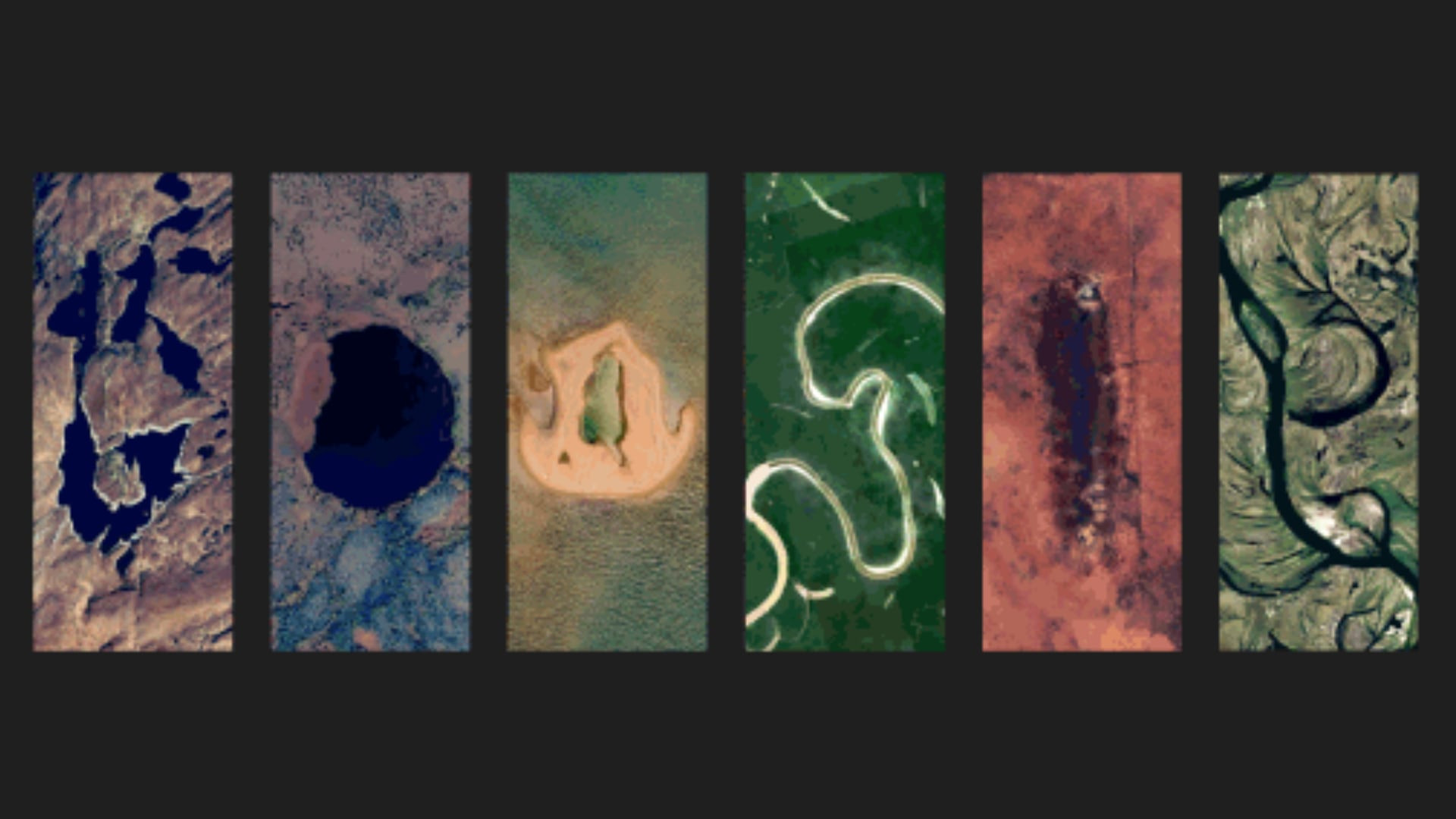 Google marks Earth Day with a vibrant doodle celebrating biodiversity