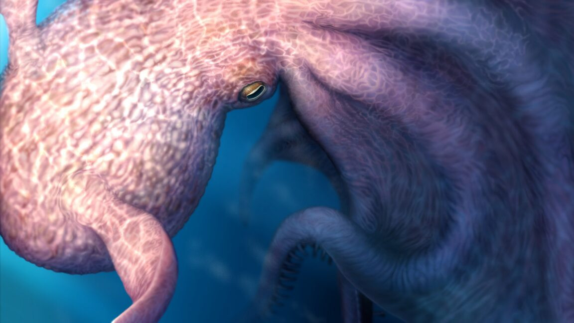 A 19-meter giant octopus swam with mosasaurs in the Cretaceous seas