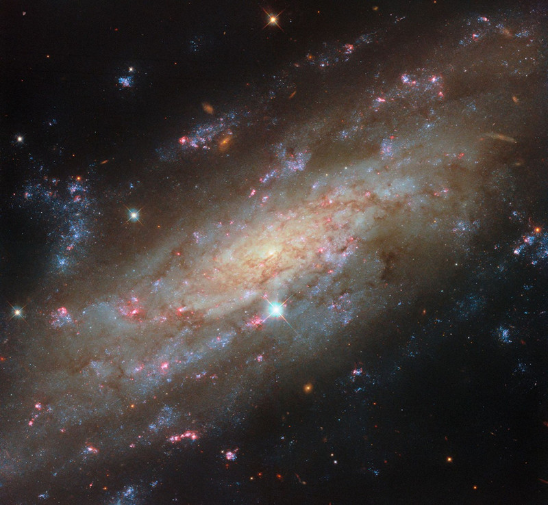 Hubble capta la galaxia espiral NGC 3137, a 53 millones de años luz