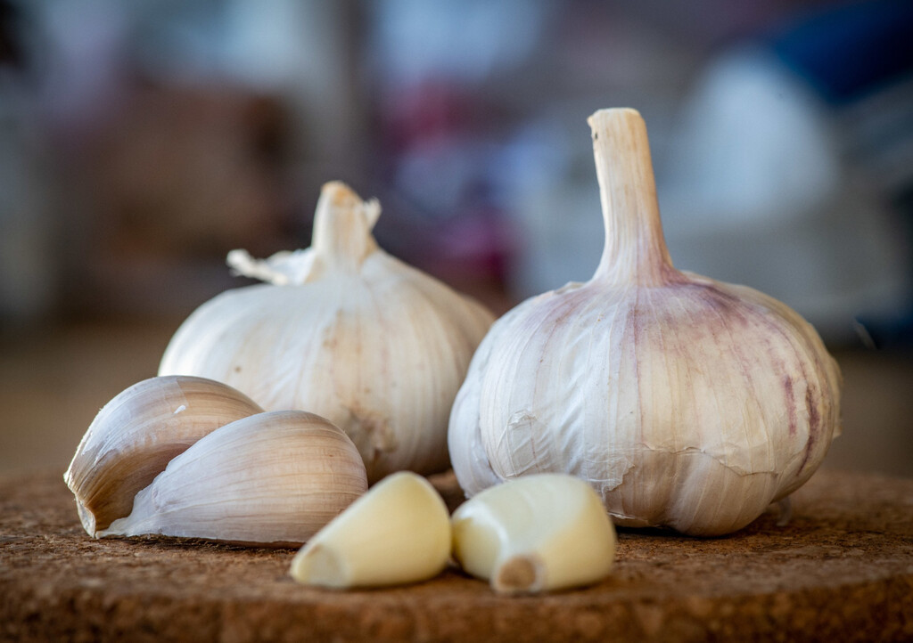 Garlic Reveals a Secret to Combatting Muscle Frailty in Old Age