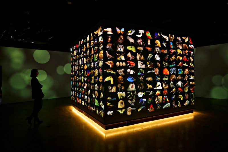 National Geographic Museum of Exploration Opens in Washington D.C.