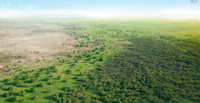 La Gran Muralla Verde de China: bosques artificiales superan a los naturales