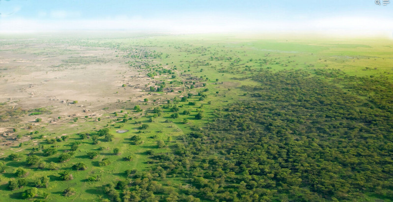 La Gran Muralla Verde de China: bosques artificiales superan a los naturales